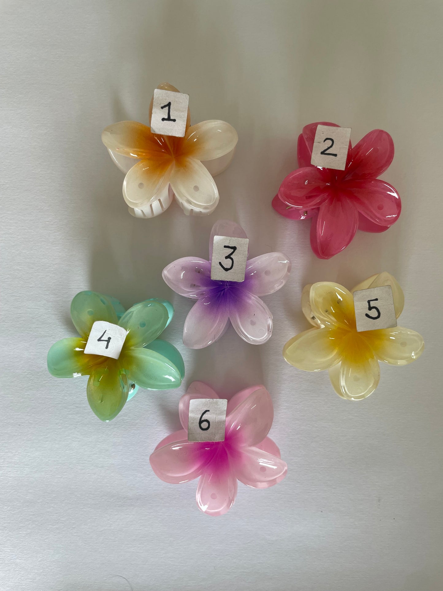 Pinteresty Floral Claw
