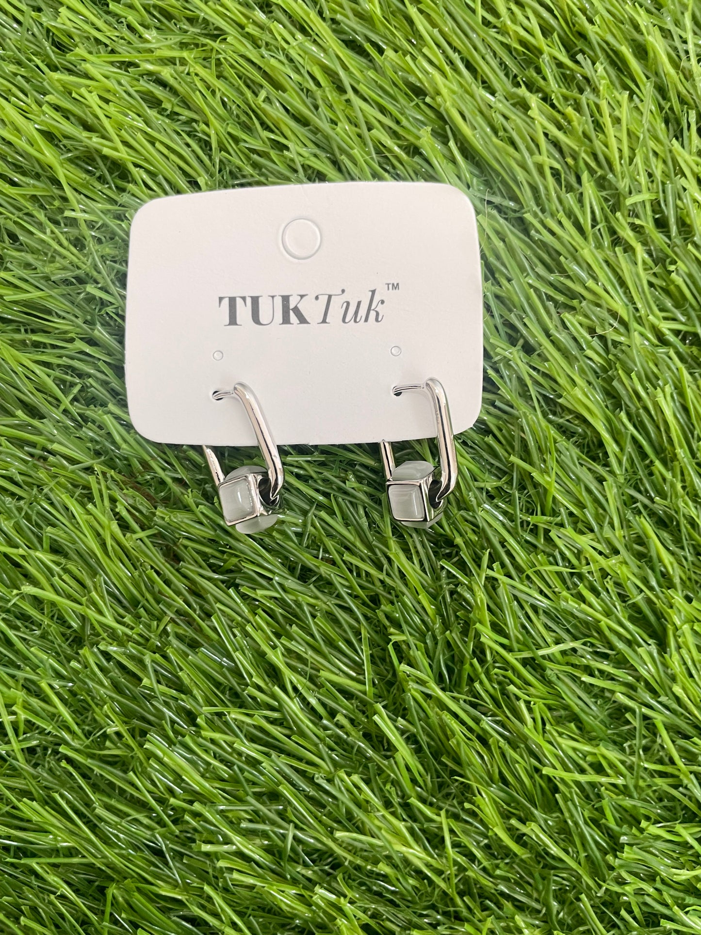 Silver Hoop Earrings