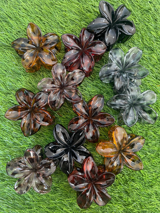Pinteresty Floral Claw