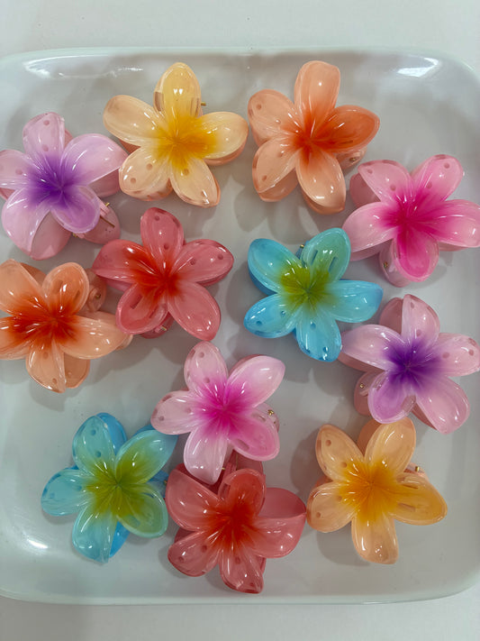 Pinteresty Floral Claw